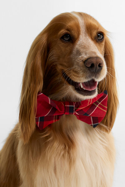 Barbour Tartan Köpek Papyonu TN94 Cardinal Tartan