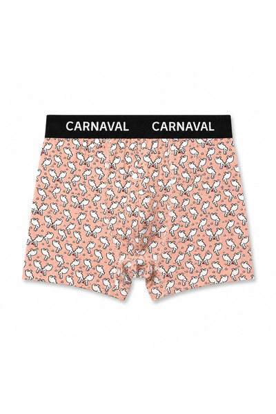 CARNAVAL SOCKS Carnaval Wild Orbit Erkek Boxer 3’lü Set