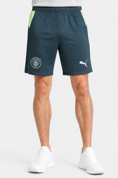 Puma Men Sportswear Fit Football Shorts, Teal Green