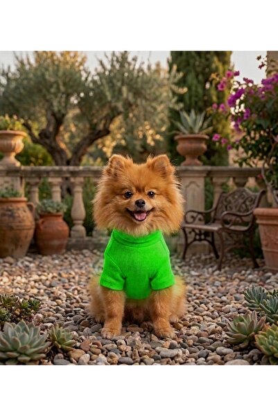 Lokums Handmade High-Neck Basic Dog Clothes (for Small and Medium Breeds)
