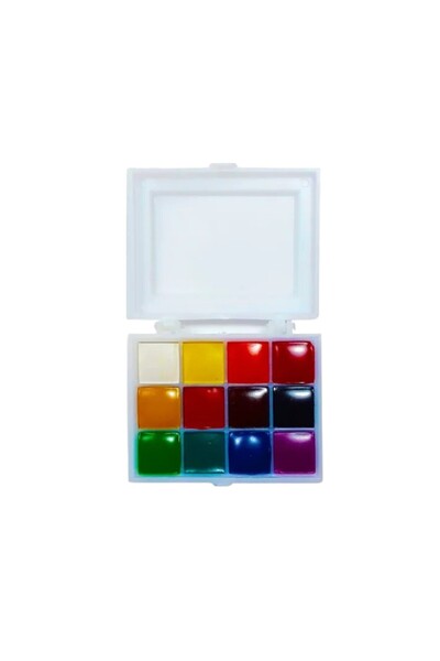 OEM Acuarele pictor 6,8 x 6,4 x 1,9 cm 12 culori intr-o cutie