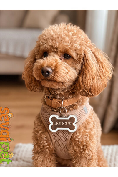 sevgipet Özel Tasarım Kemik Model Metal Köpek İsimliği ve Künyesi Karışık Ren...