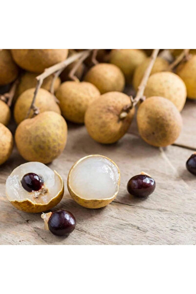 123 بذور شجرة الكيزهايلانغشان الصغيرة الصالحة للأكل والحلوة - 50 بذرة - كل عب...