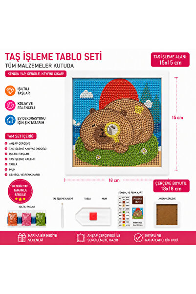 iğne izi 5D Diamond Stone Embroidery Painting Set with Capybara Pattern 18X18...