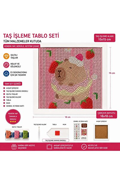iğne izi 5D Diamond Stone Embroidery Painting Set with Capybara Pattern 18X18...