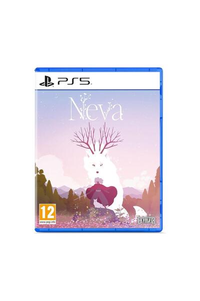 Generic PS5 Playstation 5
