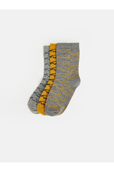 LC Waikiki Sparkling Choices from Shining Store Boys' Embroidered Socket Sock...
