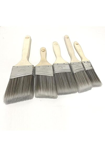 Generic Bates- Paint Brushes, 5 Pack, Vibrant Plastic Handle, Paint Brushes f...