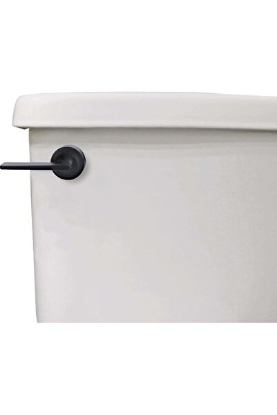 Generic Danco 12052 Toilet Tank Lever, Matte Black