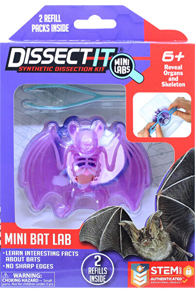 Sensory Compounds Liliac în cutie cadou (12-38087)