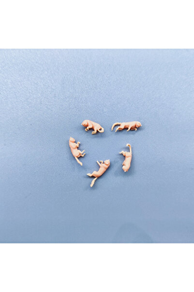 Choice1 1 l 64 scale 5 cats 1/64 1/50 1/43 Figurines Scale Model Resin 5 Lyin...