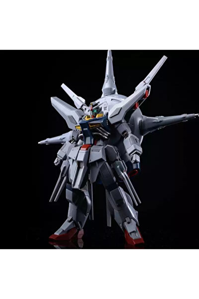 Choice Bandai With Decals 1/144 Scale HG SEED In Stock Assembly Model kit ZGM...