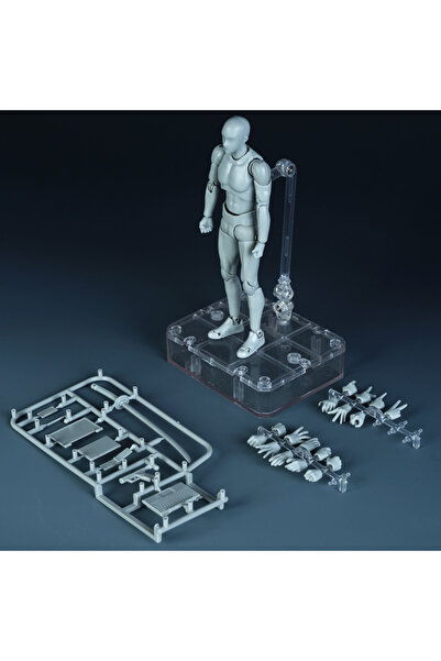 Choice5 Bandai Boy no box Sketch Draw Male Female Movable Body Kun Body Chan ...