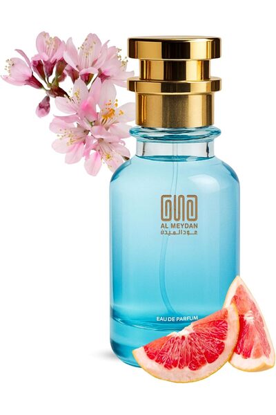 OUD AL MEYDAN Oil-Based Perfume for Men – Inspired by The One for Men – Warm ...