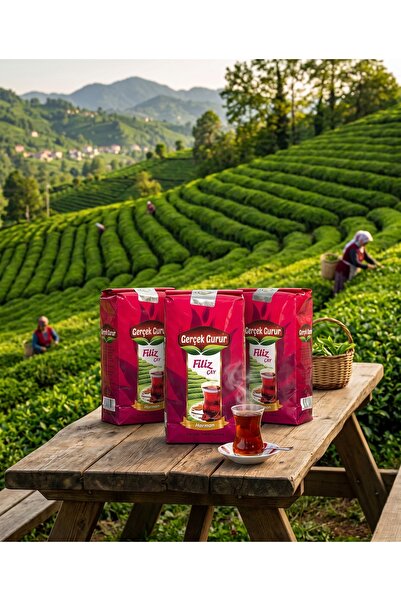 GERÇEK GURUR Filiz Harman Çay 3 x 1 KG