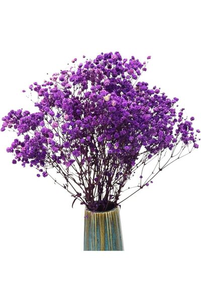TooGet Togeet Natural Dried Flower Bouquet Purple Baby's Breath Gypsophila Br...