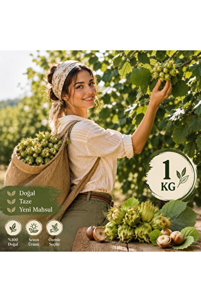 Yeşil Çotanak Organik Fındık - Dalından Yaş Fındık 1 Kg