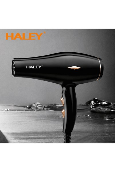 HALEY Uscător de păr profesional HY-4031, 2200W, 3 setări de temperatură, control inteligent al temperaturii, concentrator de aer, filtru detașabil, negru