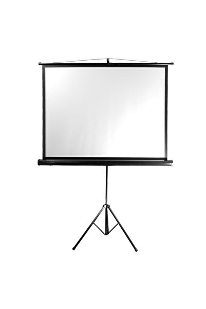 ALPY E TRADE Ecran de proiecție 220x125 cm cu suport STAND XBS 100 " FULL HD 4K