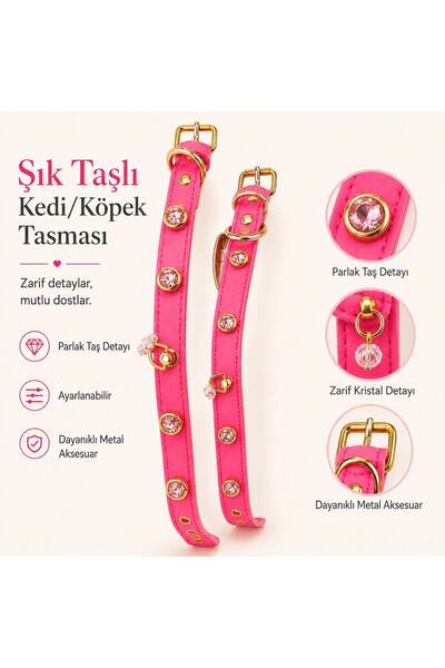 STYLE DOG KÖPEK TASMASI