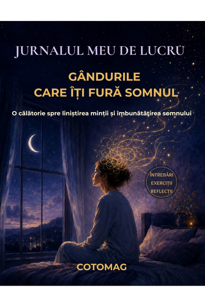 Cotomag Jurnalul Meu de Lucru – Gândurile care îmi fură somnul – O Călătorie ...