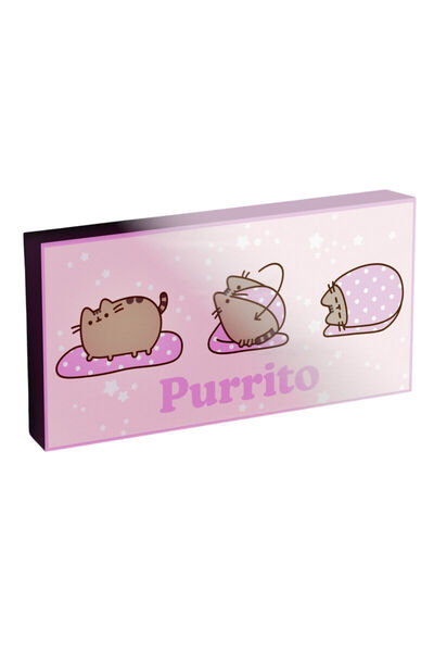 Pyramid Pusheen light up canvas