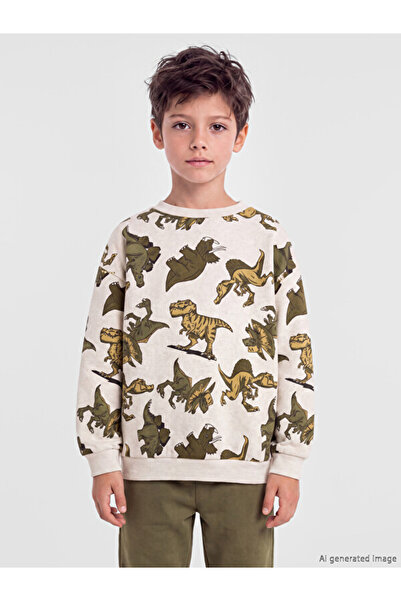 LC Waikiki Rmz Gi̇yi̇m Farkiyla Dinosaur Printed Boys' Set