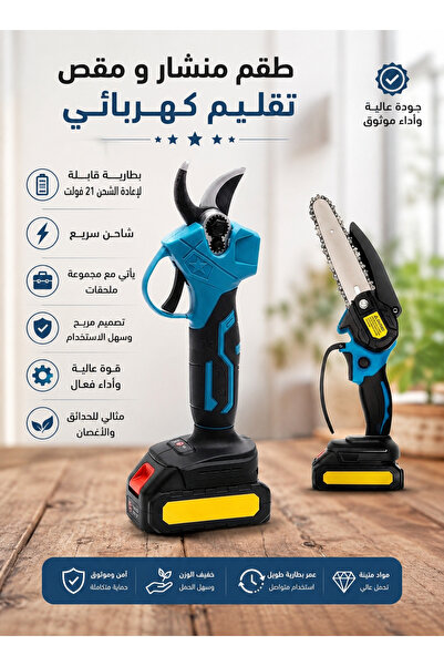 Cady One Portable Electric Chainsaw & Pruner Kit, 21V Rechargeable Battery wi...