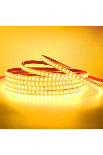GENERAL شريط اضاءة LED نيون بطول 5 متر، مقاوم للماء بتصنيف IP65 لمقاومة الميا...