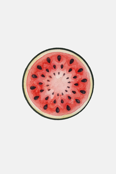 decofav Watermelon Slice Patterned Embroidered Cocktail Napkin 1 Piece