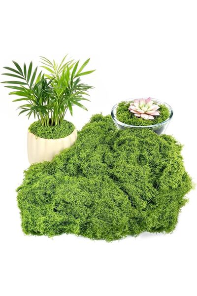 GENERAL طحالب صناعية للأعمال الحرفية المحفوظة وديكورات الطحالب التي تصنعها بن...
