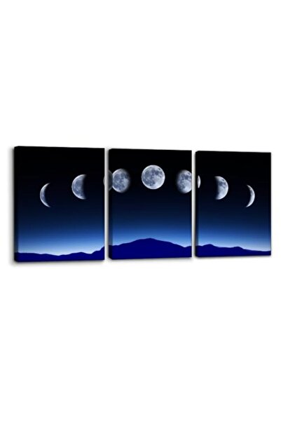 ALAYRA International Signtouch Moon Phases Full Growth Cycle Wrap Framed Wall...