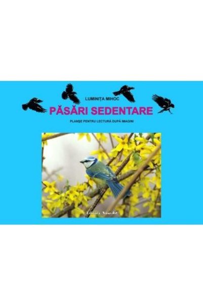 TEHNO-ART Pasari sedentare - Planse - Luminita Mihoc