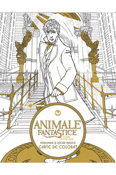 Grupul Editorial Art Animale fantastice si unde le poti gasi - Carte de colorat