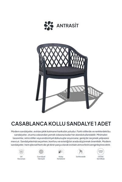 Daim Plastik CASABLANCA LÜX CAFE & RESTAURANT SANDALYESİ