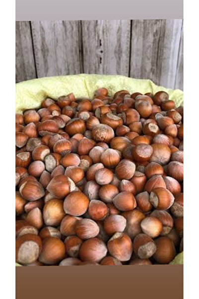 Genel Markalar Kabuklu Fındık 2 kg organik