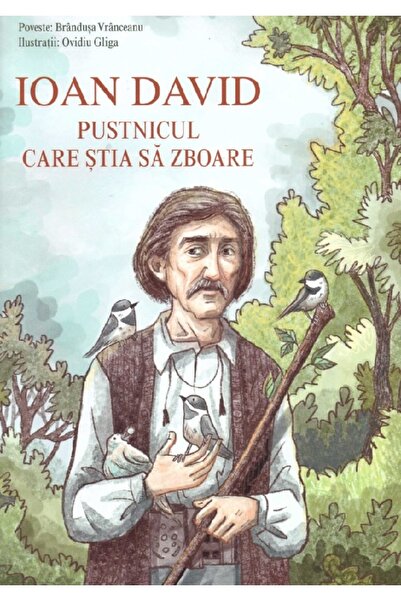 Editura Sophia Ioan David, pustnicul care stia sa zboare - Brandusa Vranceanu