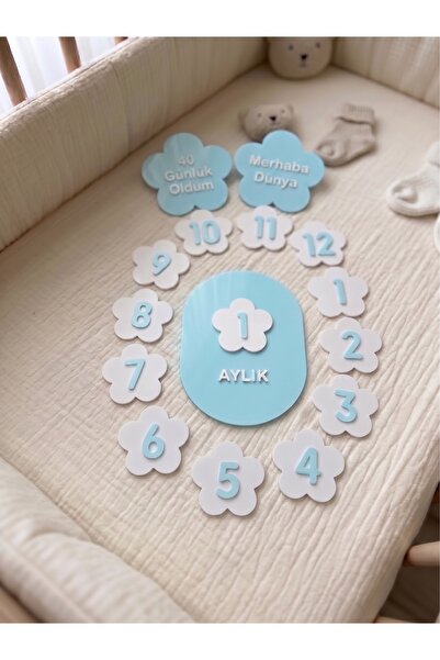 Genel Markalar Bebek Aylık Fotoğraf Çekim Kartları - Yenidoğan - 40 Günlük - ...