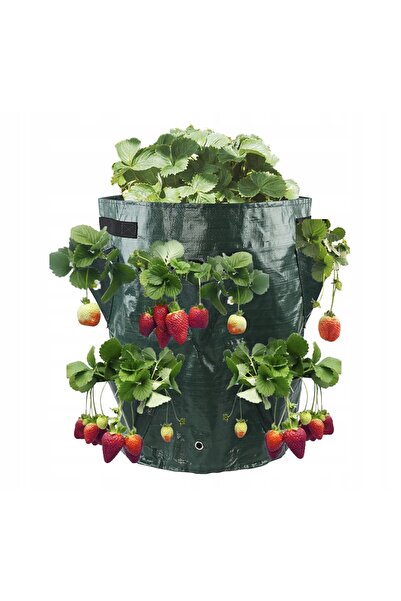 ITIMPORT Ghiveci suspendat tip sac CASCADE pentru LEGUME, cu buzunare pentru ...