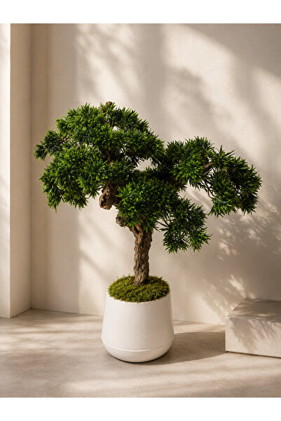 Hediyeler Kapında Yapay Bonsai 100 cm Gerçek Ağaç Gövdeli Yoğun Yapraklı Deko...