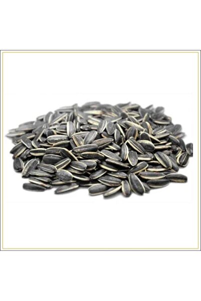 Genrics Sunflower Seeds 1000-garms