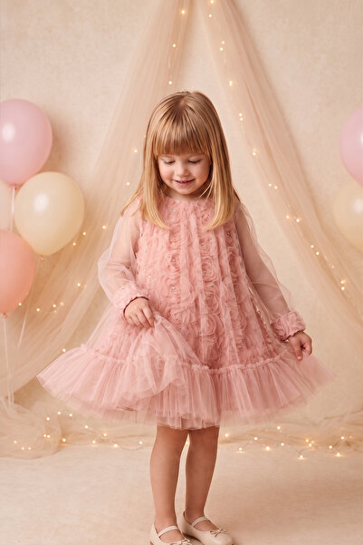 ALYRA Girls' Evening Dress 3D Rose Floral Tulle Long Sleeve Baby Birthday Dre...
