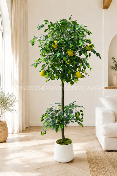 Meka Yapay Çiçek Yapay Limon Ağacı 175 Cm Atlas Saksı