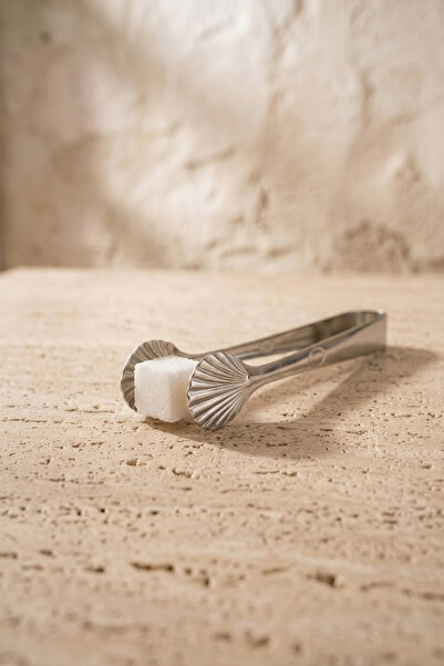 Kitchen Life Clește pentru gheață din oțel inoxidabil, tip cub de stridii, 12 cm