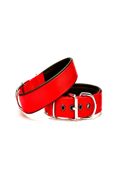 pınaxar Dog Collar 3*55 cm Red