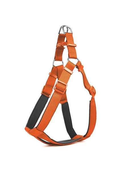 pınaxar Dog Waist Collar 85 cm Tcu