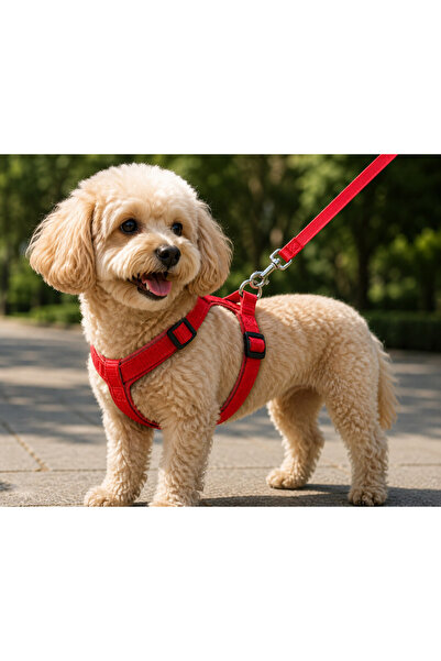 pınaxar Woven Dog Chest Collar Set with Walking Strap 32*47-110 cm Red