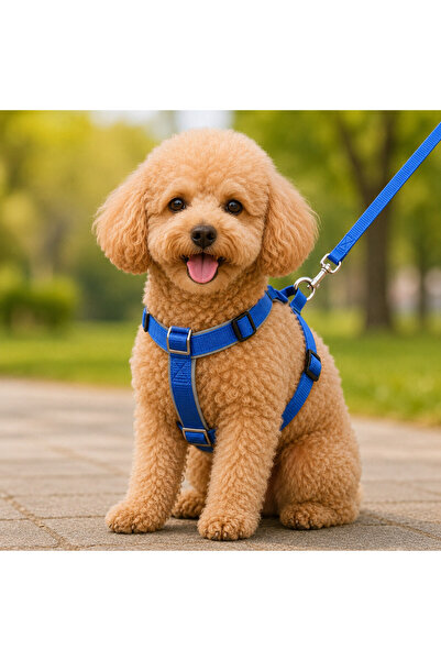 pınaxar Woven Dog Chest Leash Set with Travel Strap 32*47-110 cm Mi