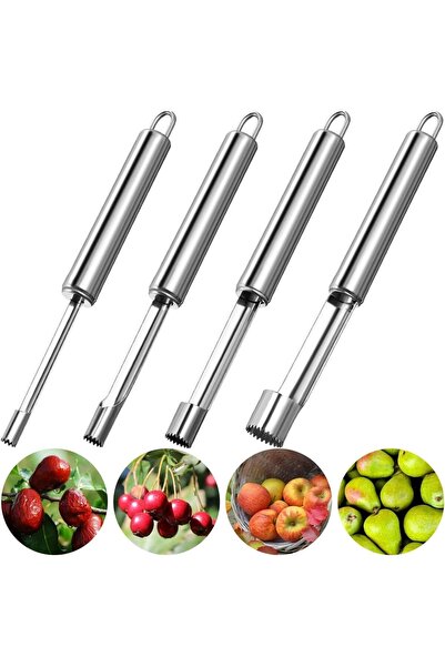 Generic 4 PCS Stainless Steel Fruit Corer Set| Apple Corer, Cherry & Date See...