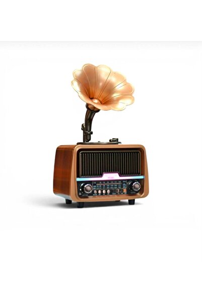 ataşbey RT-601 Özel Plak Gramafon Tasarımlı Ledli Klasik Retro Nostalji Bluet...